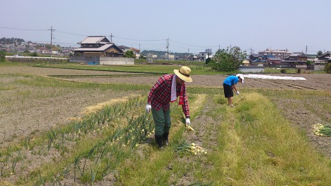 ええ天気、もう常識です