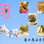 春の香り　山の恵み