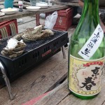 新入荷　京の春　純米醸造酒　生酛